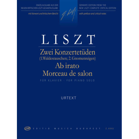 copy of Liszt - 6 Studi da Concerto per Pianoforte