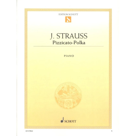 copy of Schubert - Improvvisi e Momenti Musicali per pianoforte