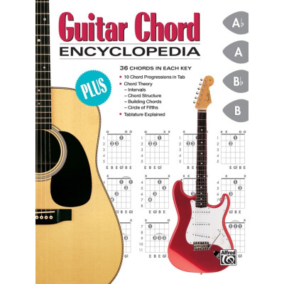 copy of Guitar Technique Encyclopedia